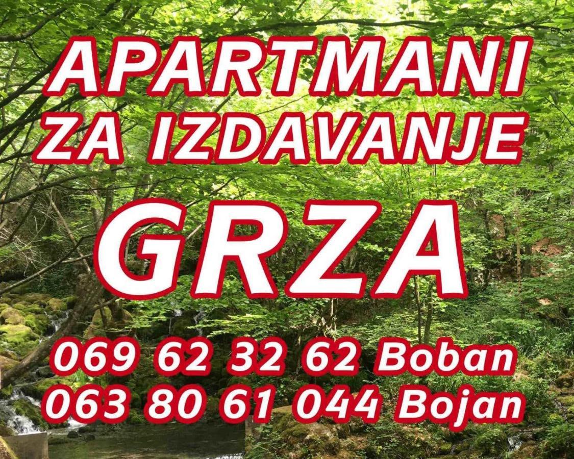 Apartmani Grza Paraćin Kültér fotó