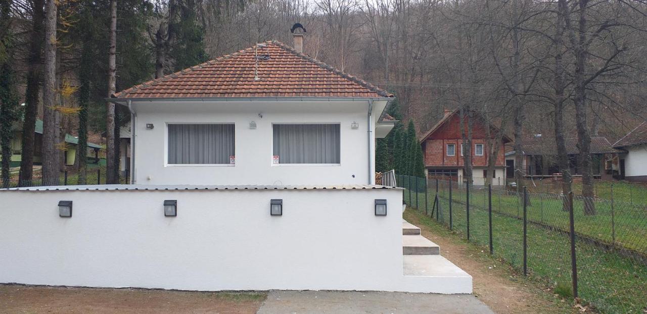 Apartmani Grza Paraćin Kültér fotó