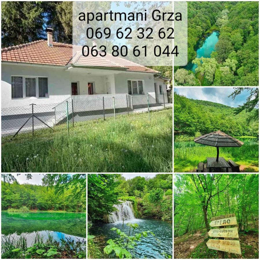Apartmani Grza Paraćin Kültér fotó
