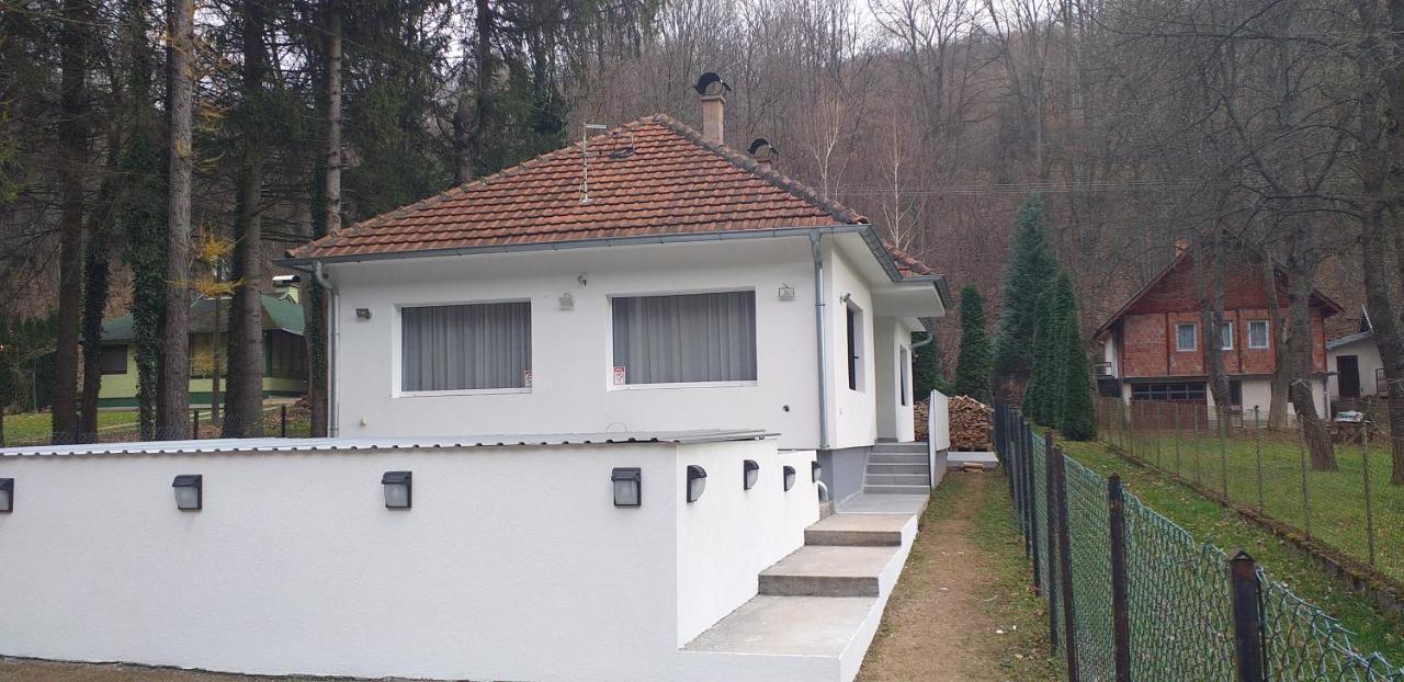 Apartmani Grza Paraćin Kültér fotó