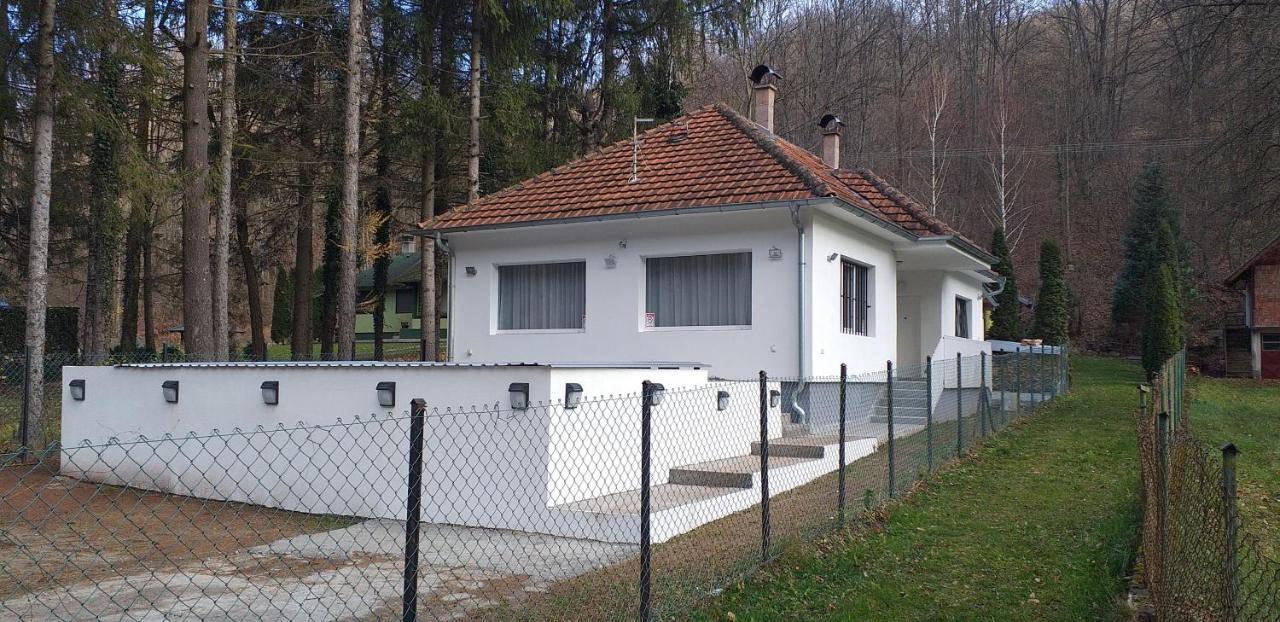 Apartmani Grza Paraćin Kültér fotó