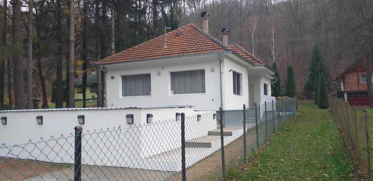 Apartmani Grza Paraćin Kültér fotó
